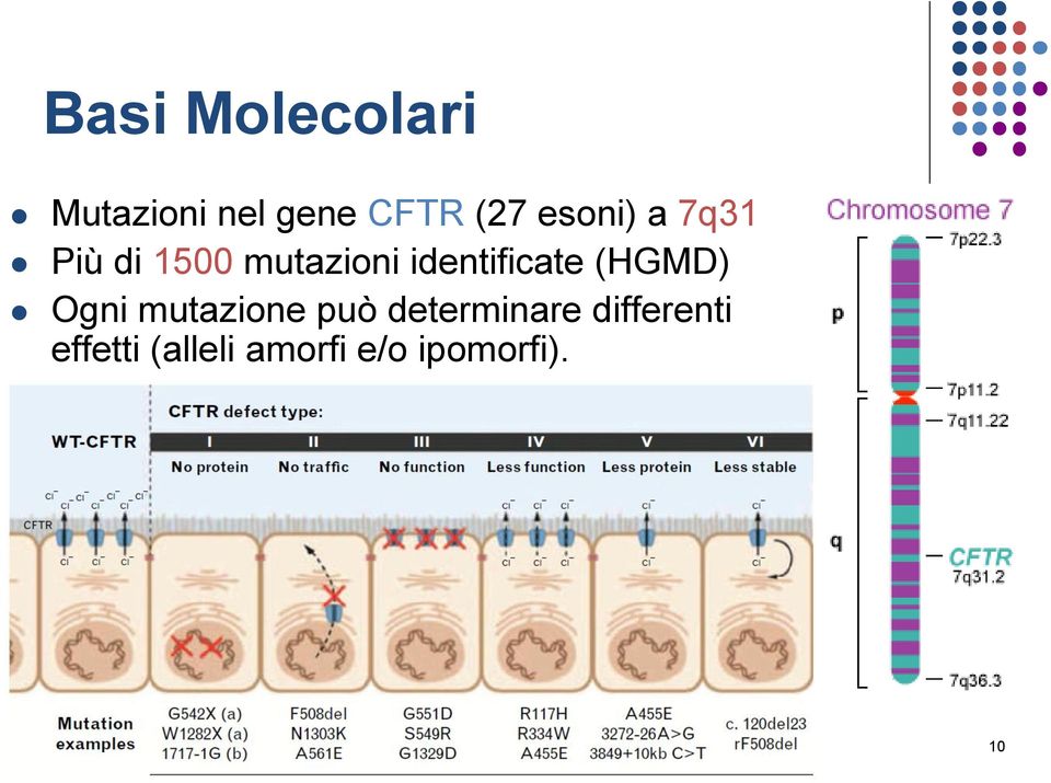 identificate (HGMD) Ogni mutazione può