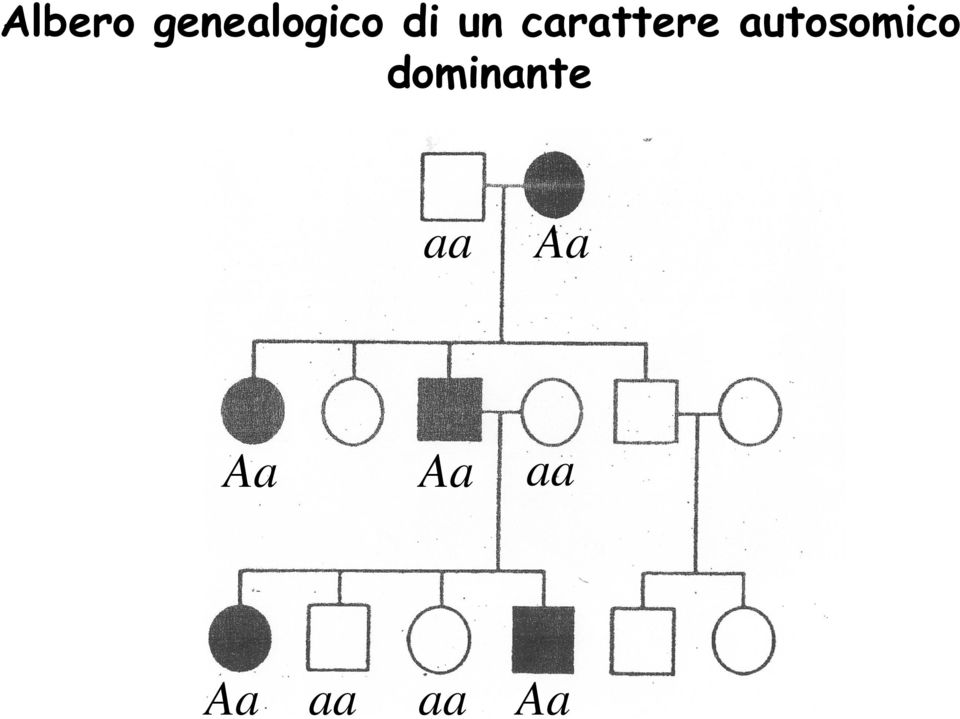 autosomico dominante