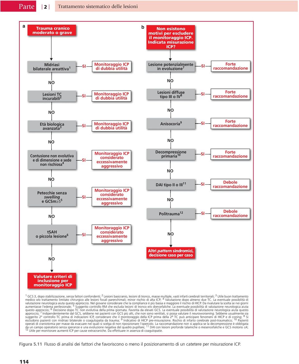 utilità Lesioni diffuse tipo III o IV 8 SI Forte raccomandazione NO NO Età biologica avanzata 3 SI Monitoraggio ICP di dubbia utilità Anisocoria 9 SI Forte raccomandazione NO NO Contusione non