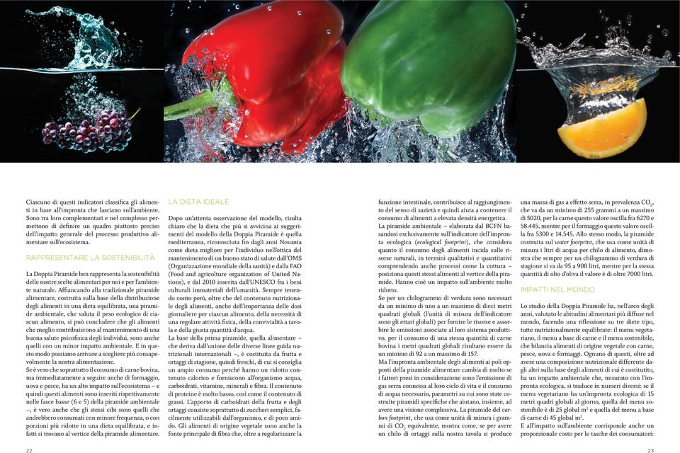 RAPPRESENTARE LA SOSTENIBILITÀ La Doppia Piramide ben rappresenta la sostenibilità delle nostre scelte alimentari per noi e per l ambiente naturale.