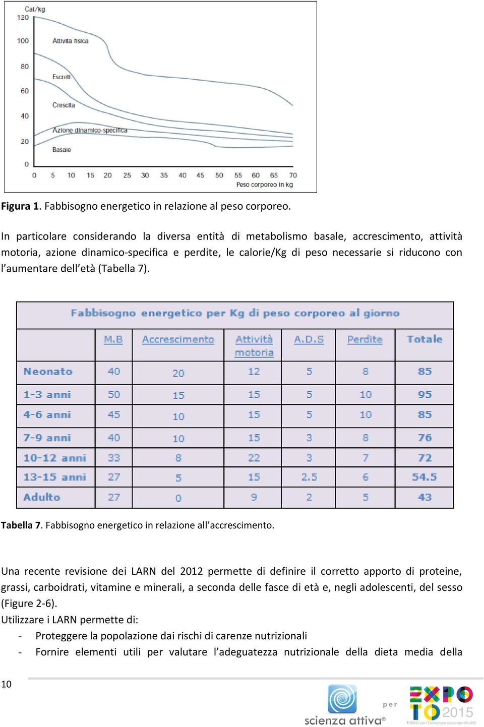 con l aumentare dell età (Tabella 7). Tabella 7. Fabbisogno energetico in relazione all accrescimento.