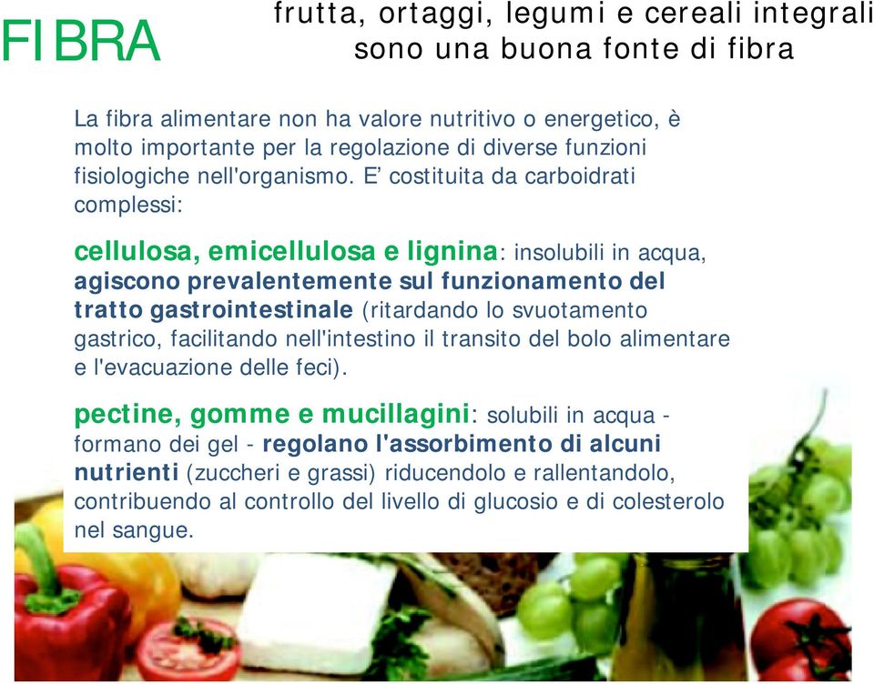 E costituita da carboidrati complessi: cellulosa, emicellulosa e lignina: insolubili in acqua, agiscono prevalentemente sul funzionamento del La tratto gastrointestinale (ritardando lo