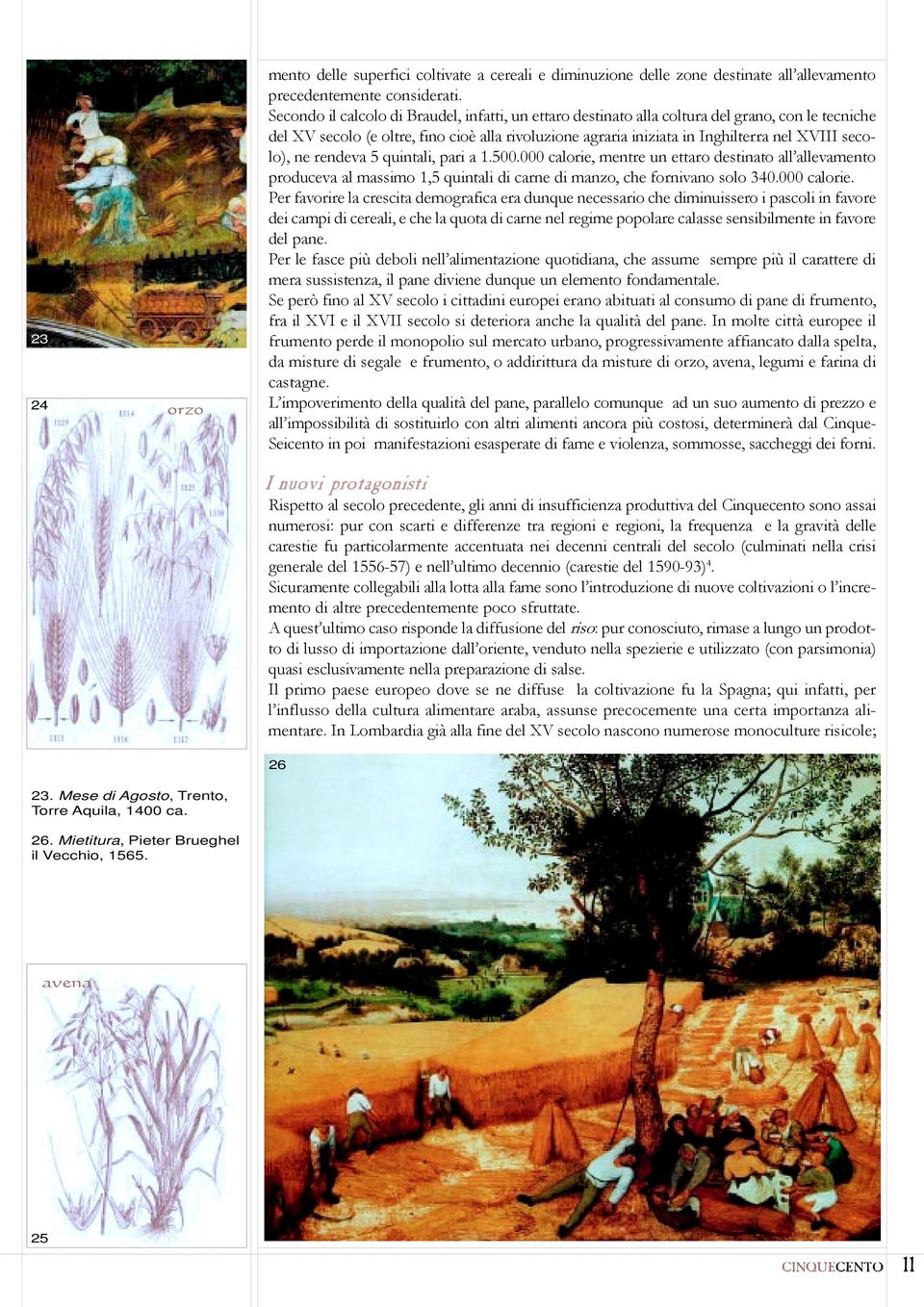 secolo), ne rendeva 5 quintali, pari a 1.500.000 calorie,