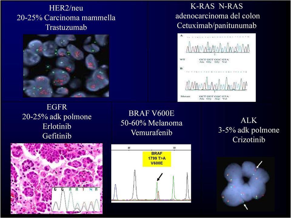 adk polmone Erlotinib Gefitinib BRAF V600E 50-60% Melanoma