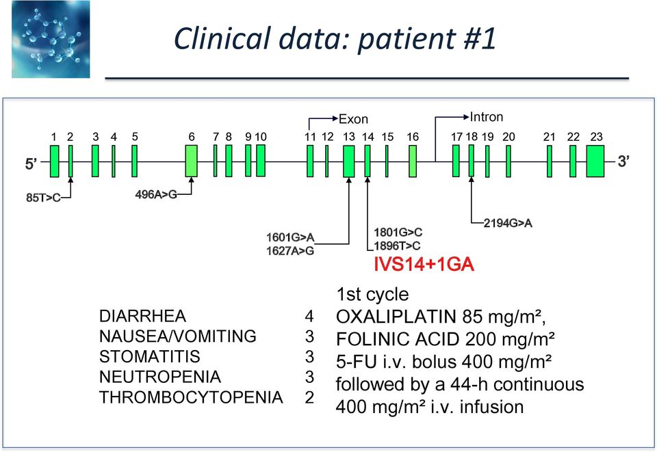 3 THROMBOCYTOPENIA 2 1801G>C 1896T>C IVS14+1GA 2194G>A 1st cycle OXALIPLATIN 85 mg/m²,