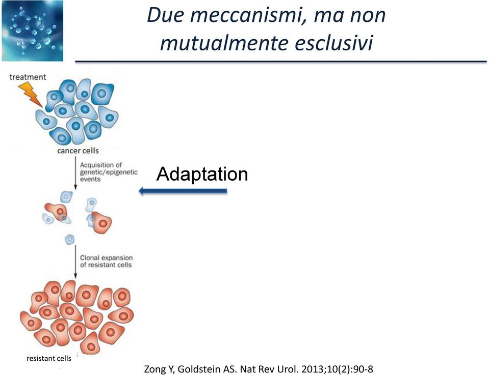 Adaptation resistant cells