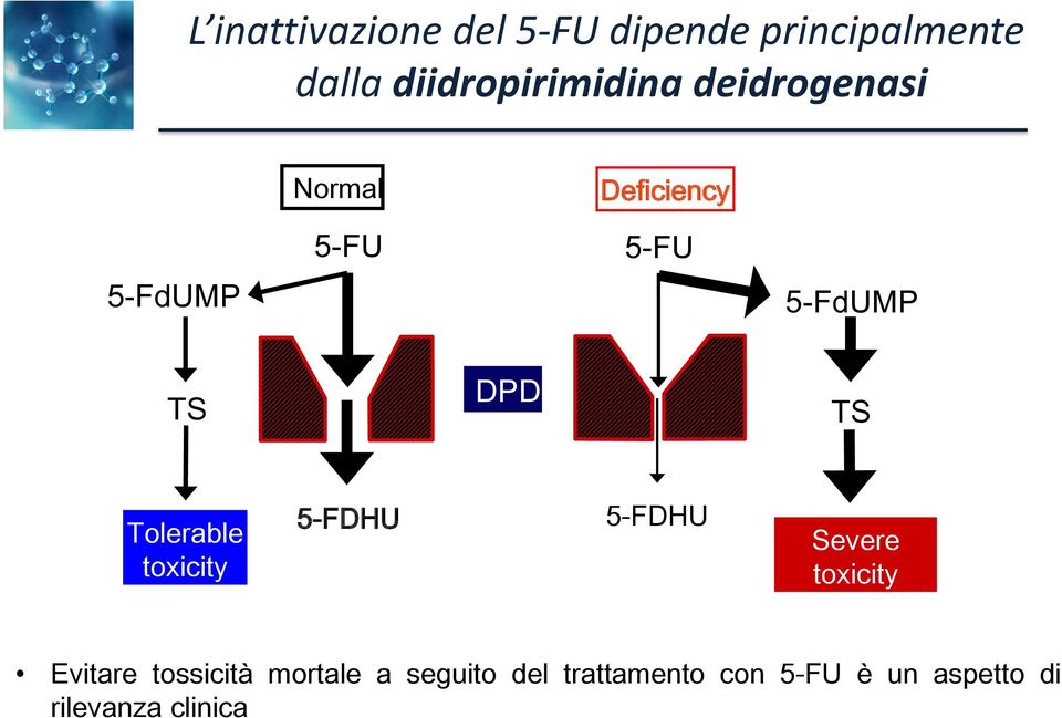 Tolerable toxicity 5-FDHU 5-FDHU Severe toxicity Evitare tossicità