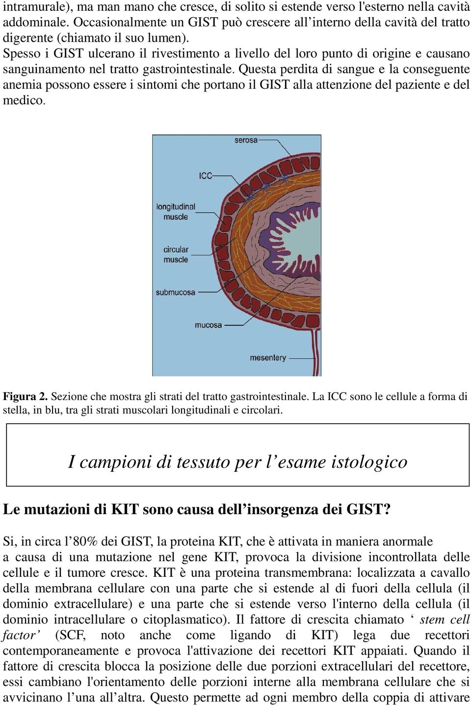 Spesso i GIST ulcerano il rivestimento a livello del loro punto di origine e causano sanguinamento nel tratto gastrointestinale.