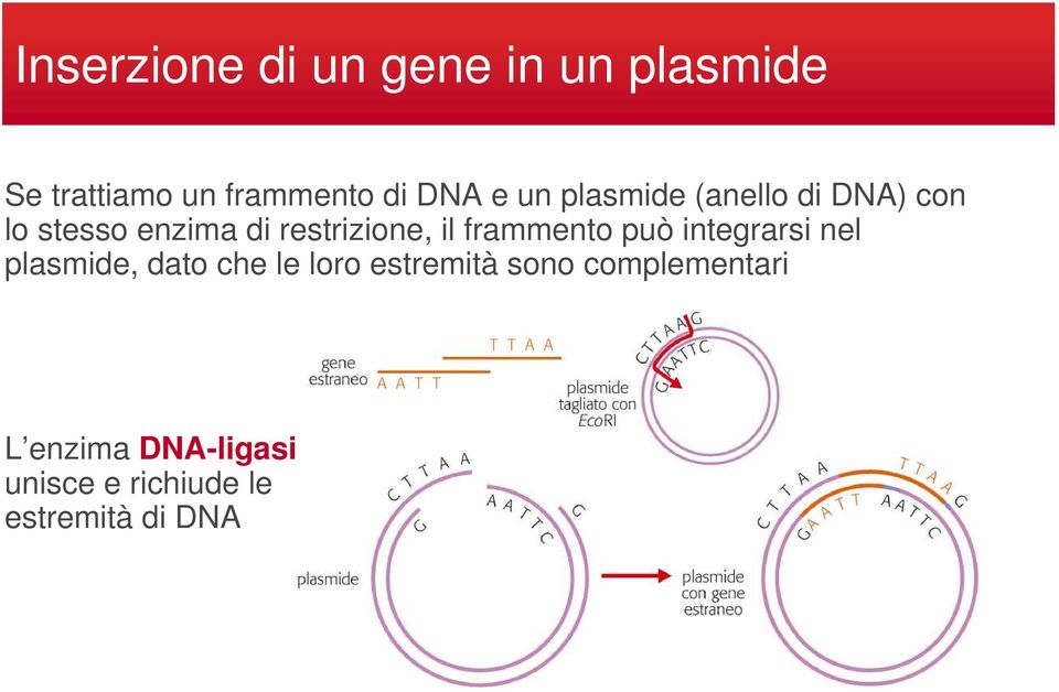 pdf pharmacogenomic