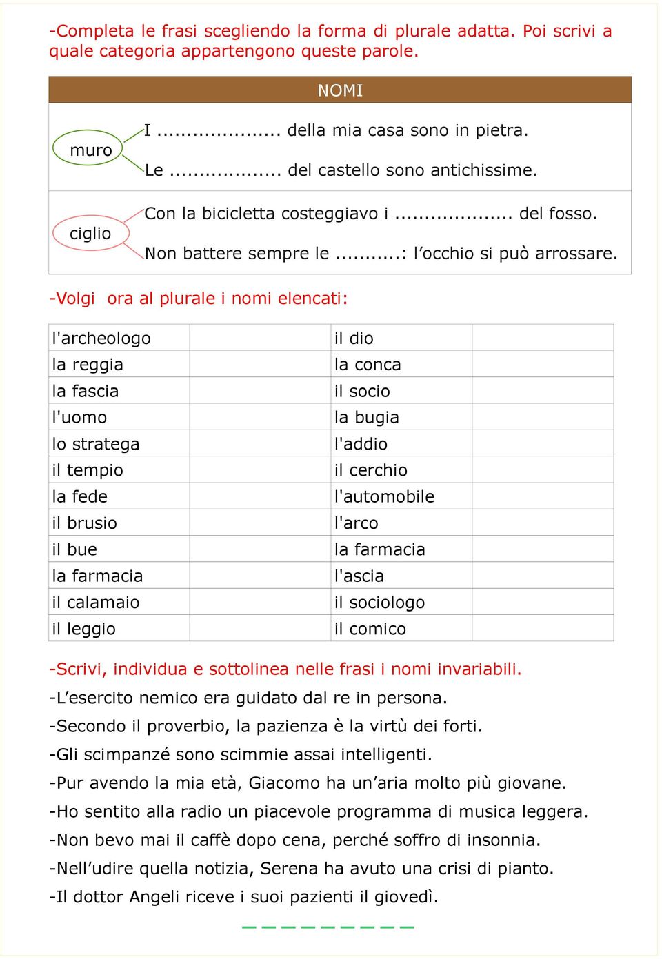 -Volgi ora al plurale i nomi elencati: l'archeologo la reggia la fascia l'uomo lo stratega il tempio la fede il brusio il bue la farmacia il calamaio il leggio il dio la conca il socio la bugia