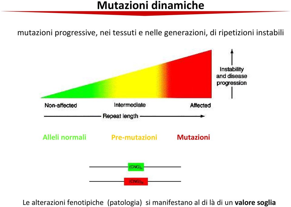 normali Pre-mutazioni Mutazioni Le alterazioni