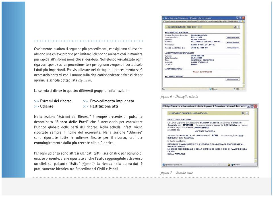 Per visualizzare nel dettaglio il procedimento sarà necessario portarsi con il mouse sulla riga corrispondente e fare click per aprirne la scheda dettagliata (figura 6).