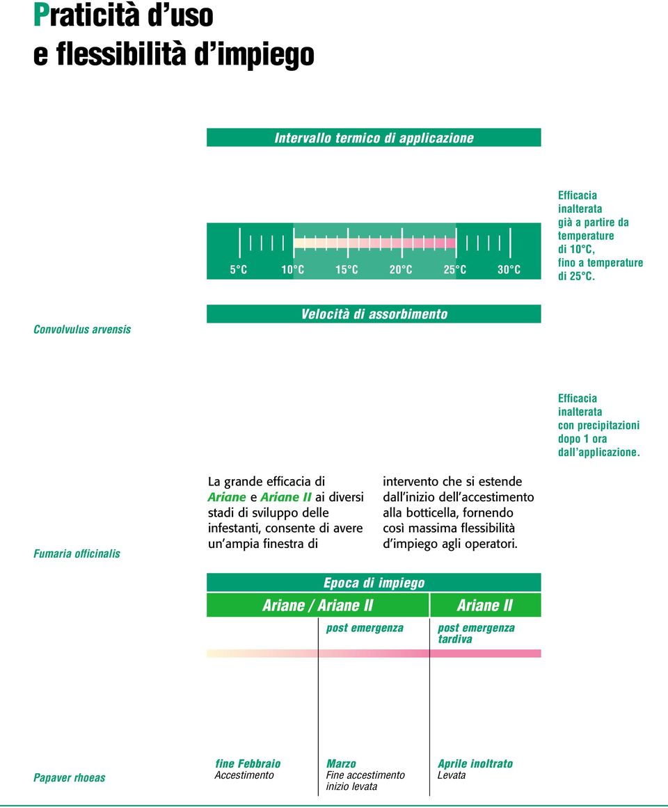 Fumaria officinalis La grande efficacia di Ariane e Ariane II ai diversi stadi di sviluppo delle infestanti, consente di avere un ampia finestra di intervento che si estende dall inizio dell