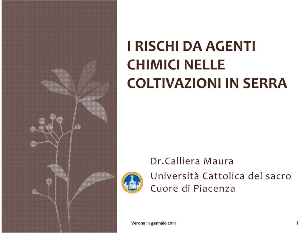 Calliera Maura Università Cattolica