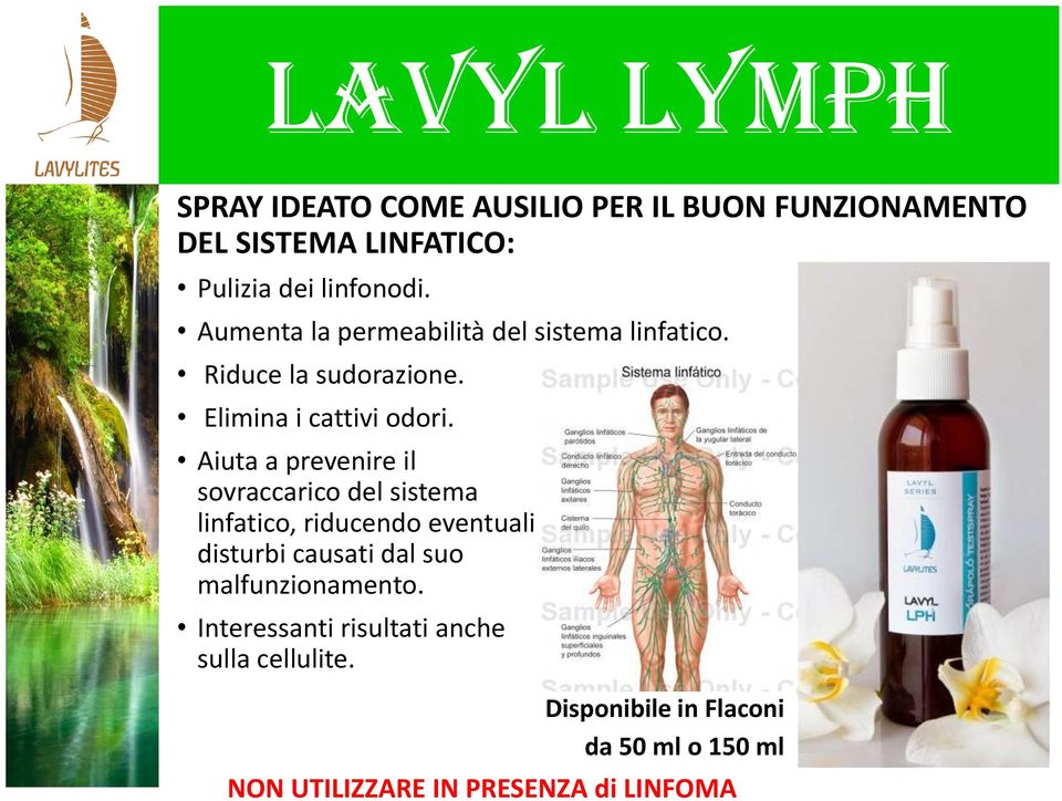 Aiuta a prevenire il sovraccarico del sistema linfatico, riducendo eventuali disturbi causati dal suo