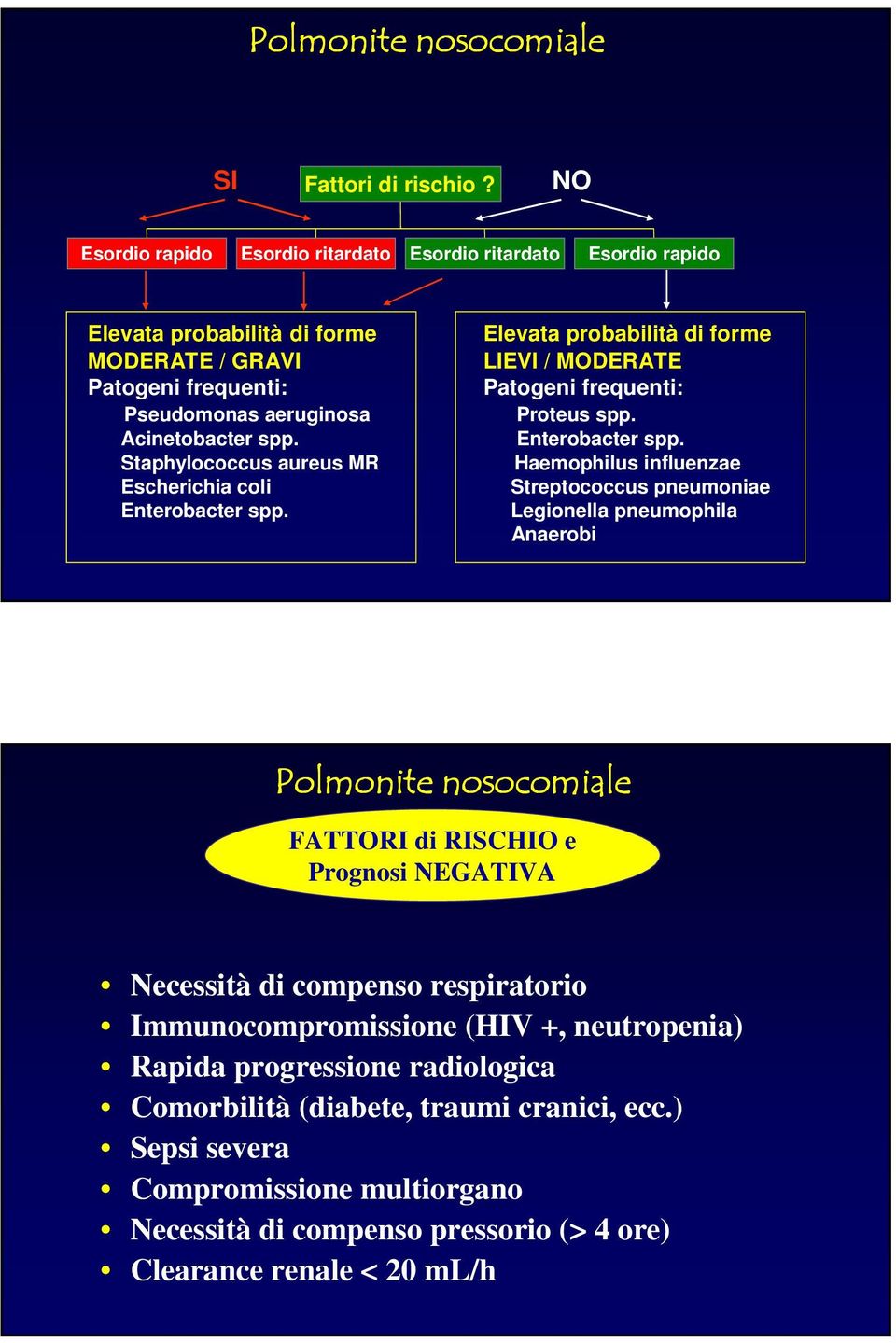 Staphylococcus aureus MR Escherichia coli Enterobacter spp.