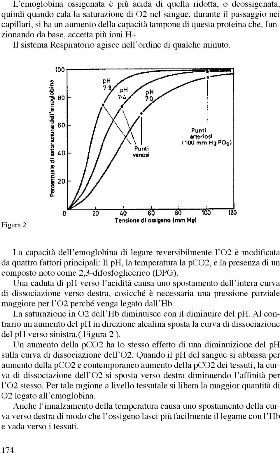 La capacità dell emoglobina di legare reversibilmente l O2 è modificata da quattro fattori principali: Il ph, la temperatura la pco2, e la presenza di un composto noto come 2,3-difosfoglicerico (DPG).