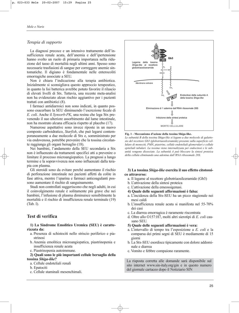 Il digiuno è fondamentale nelle enterocoliti emorragiche associate a SEU. Non è chiara l indicazione alla terapia antibiotica.