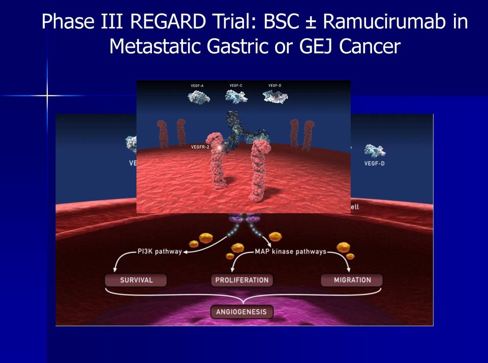 Ramucirumab in