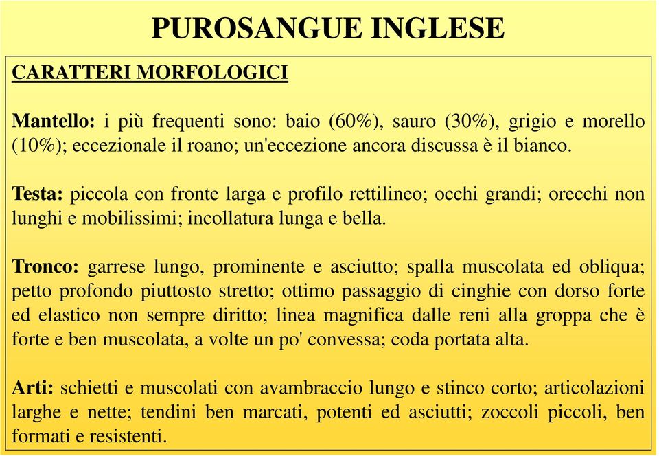 Tronco: garrese lungo, prominente e asciutto; spalla muscolata ed obliqua; petto profondo piuttosto stretto; ottimo passaggio di cinghie con dorso forte ed elastico non sempre diritto; linea