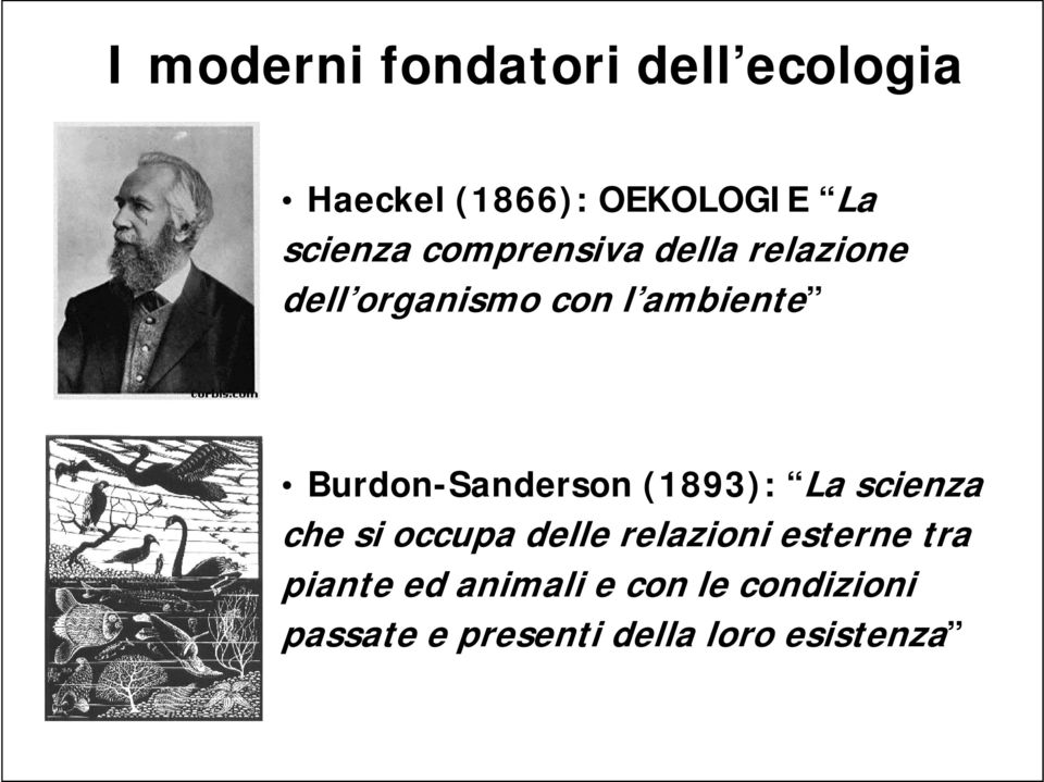 Burdon-Sanderson (1893): La scienza che si occupa delle relazioni