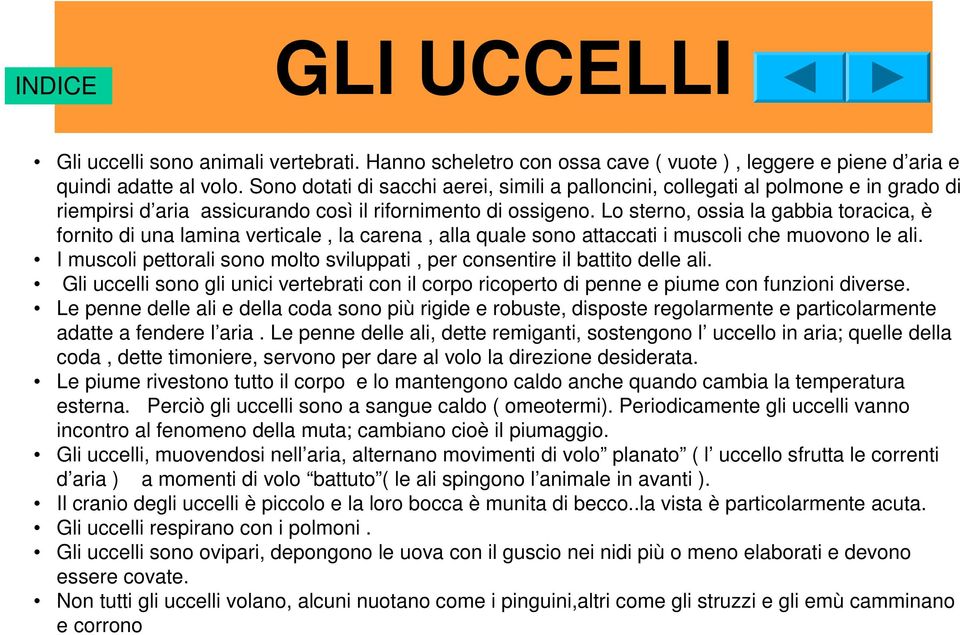 Lo sterno, ossia la gabbia toracica, è fornito di una lamina verticale, la carena, alla quale sono attaccati i muscoli che muovono le ali.