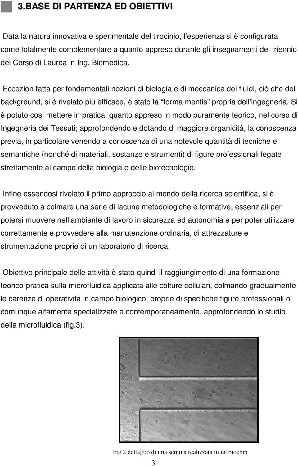 Eccezion fatta per fondamentali nozioni di biologia e di meccanica dei fluidi, ciò che del background, si è rivelato più efficace, è stato la forma mentis propria dell ingegneria.