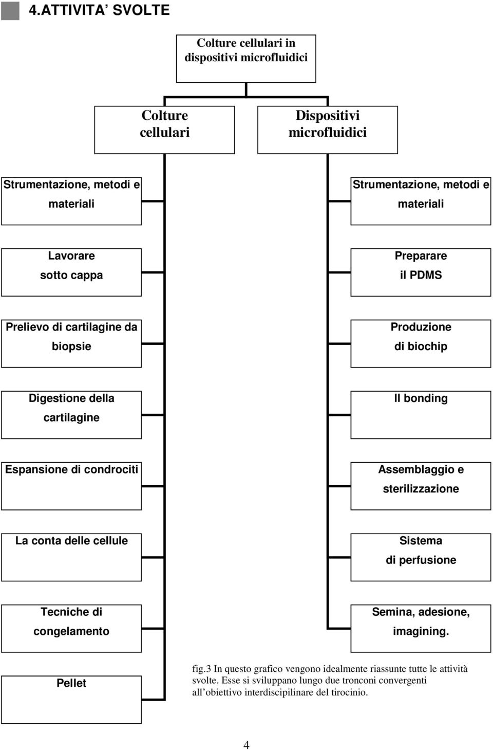 Espansione di condrociti Assemblaggio e sterilizzazione La conta delle cellule Sistema di perfusione Tecniche di congelamento Semina, adesione, imagining.