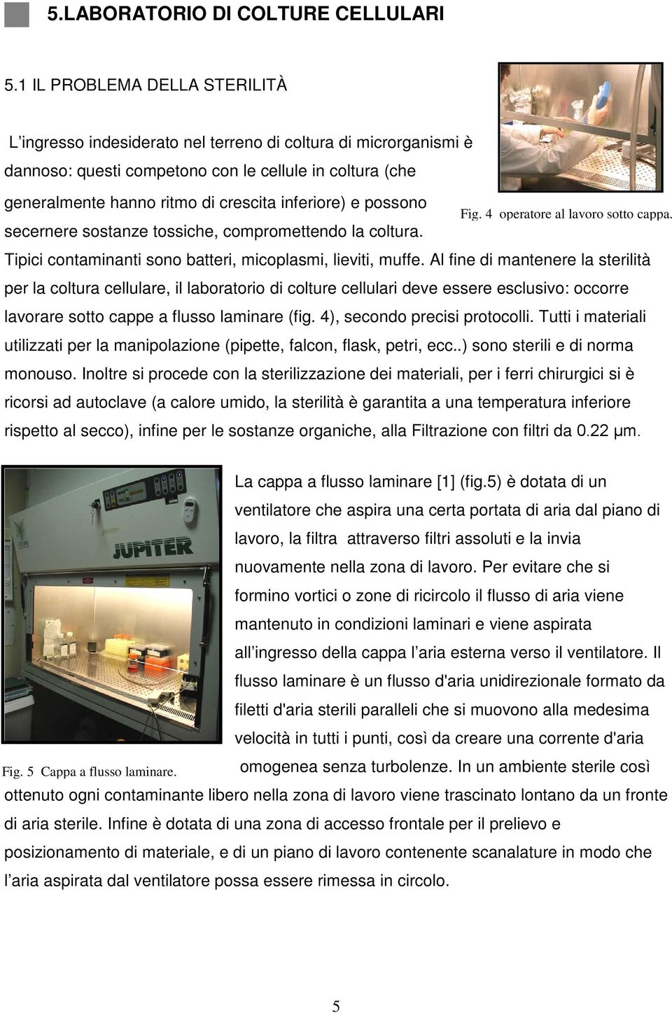 inferiore) e possono secernere sostanze tossiche, compromettendo la coltura. Fig. 4 operatore al lavoro sotto cappa. Tipici contaminanti sono batteri, micoplasmi, lieviti, muffe.