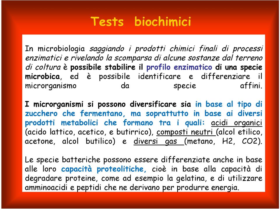 I microrganismi si possono diversificare sia in base al tipo di zucchero che fermentano, ma soprattutto in base ai diversi prodotti metabolici che formano tra i quali: acidi organici (acido lattico,