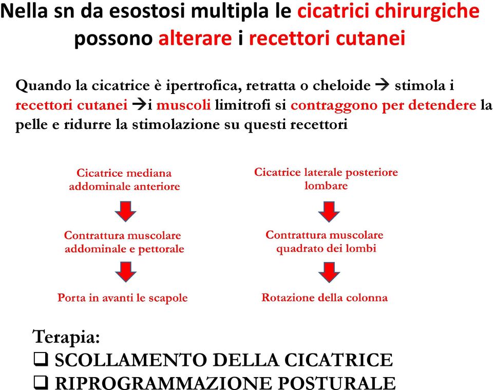 cutanei i muscoli limitrofi si contraggono per detendere la pelle e ridurre la