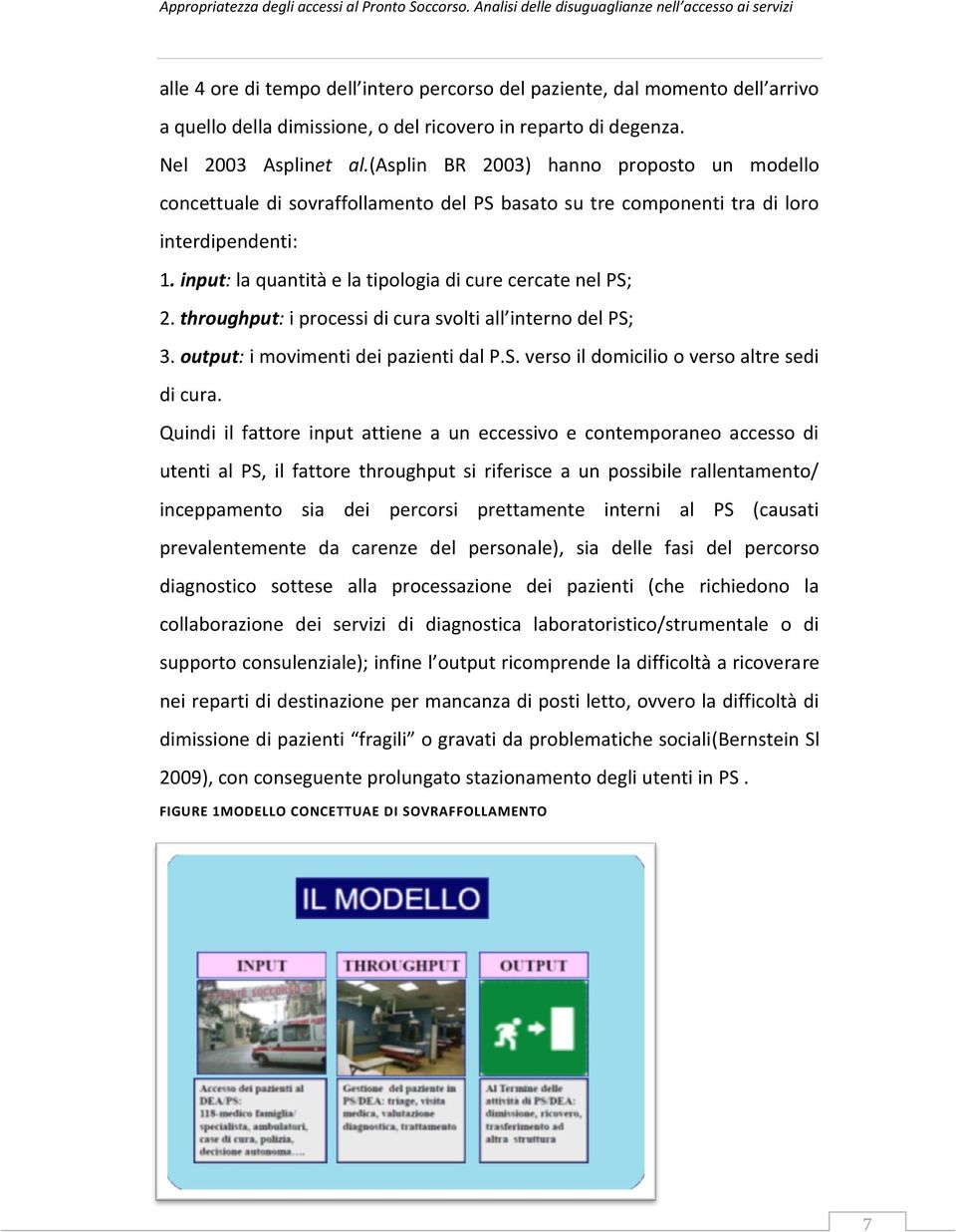 throughput: i processi di cura svolti all interno del PS; 3. output: i movimenti dei pazienti dal P.S. verso il domicilio o verso altre sedi di cura.