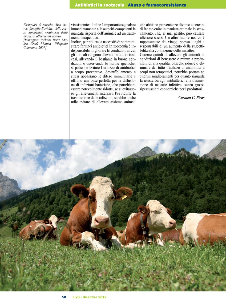 Infine è importante segnalare immediatamente alle autorità competenti la mancata risposta dell animale ad un trattamento terapeutico.