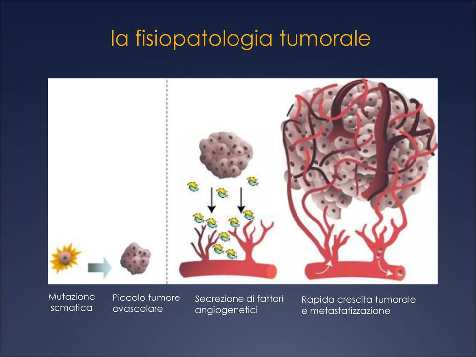 Secrezione di fattori angiogenetici