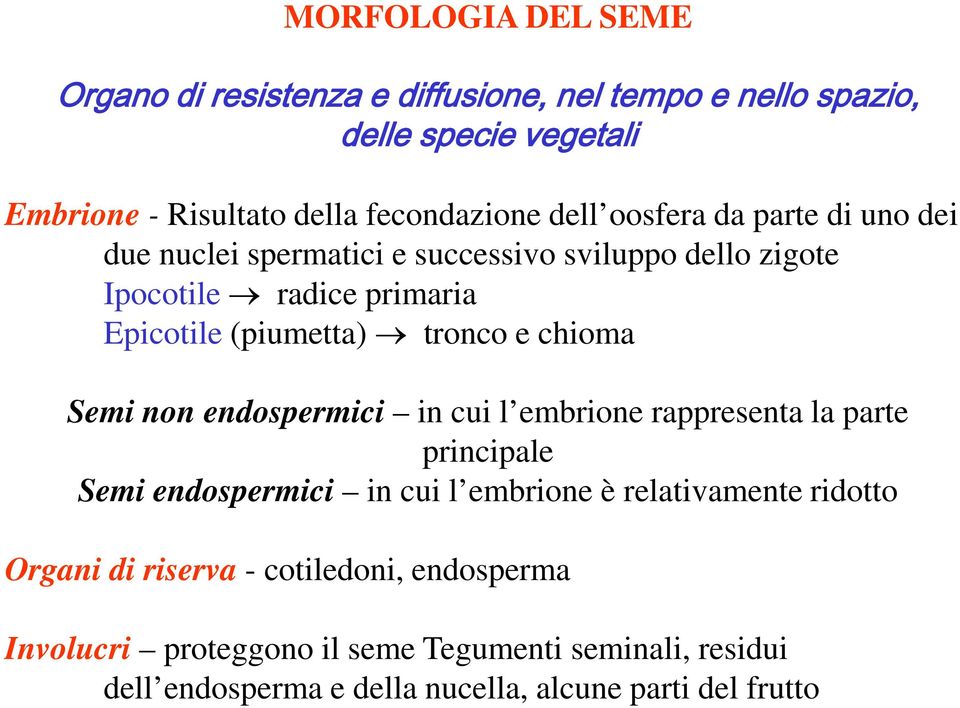 chioma Semi non endospermici in cui l embrione rappresenta la parte principale Semi endospermici in cui l embrione è relativamente ridotto Organi