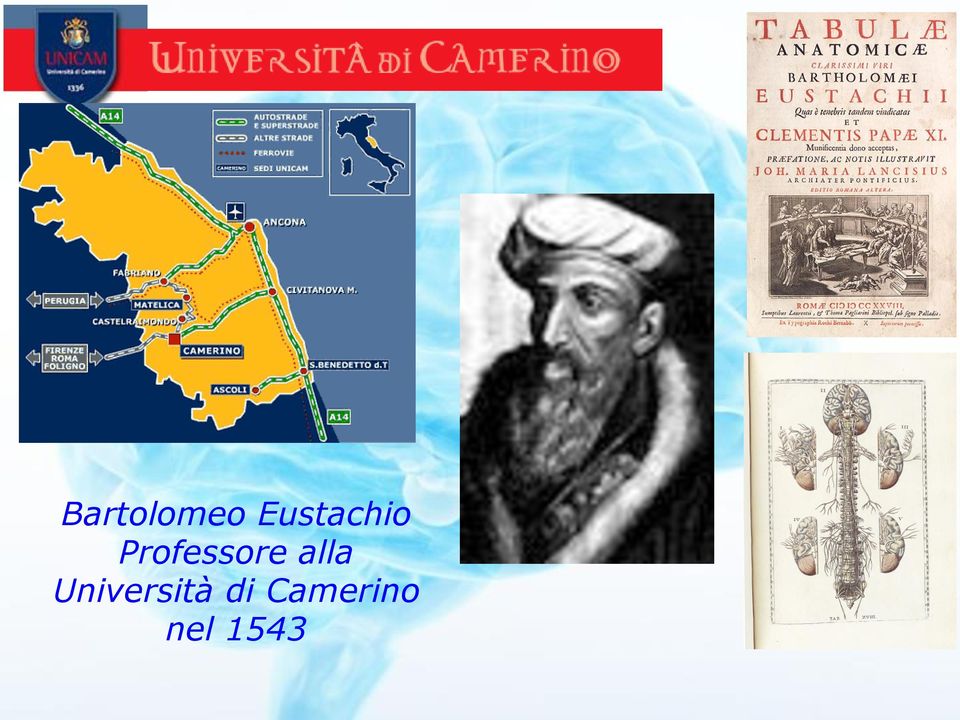 Professore alla