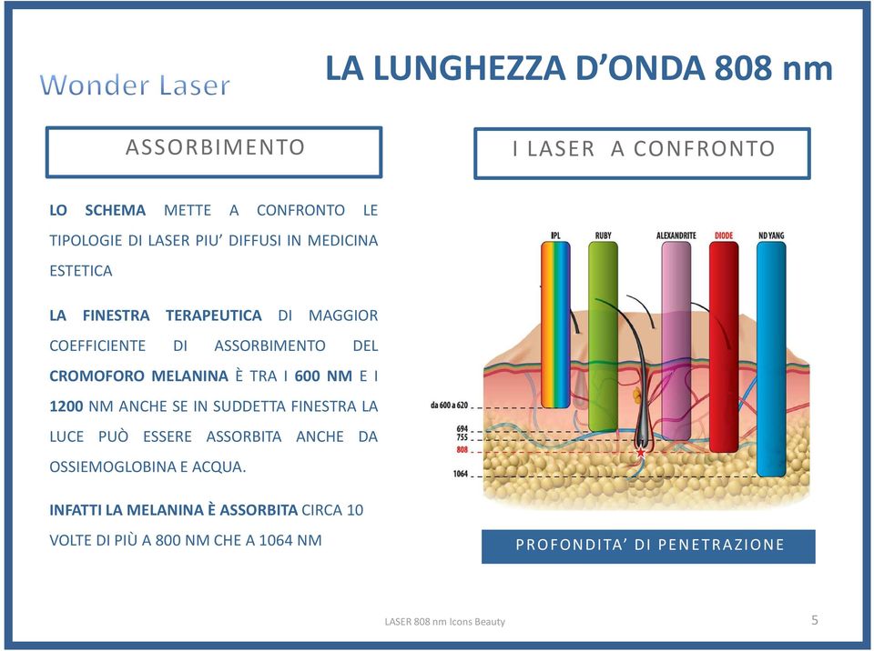 TRA I 600 NM E I 1200 NM ANCHE SE IN SUDDETTA FINESTRA LA LUCE PUÒ ESSERE ASSORBITA ANCHE DA OSSIEMOGLOBINA E ACQUA.