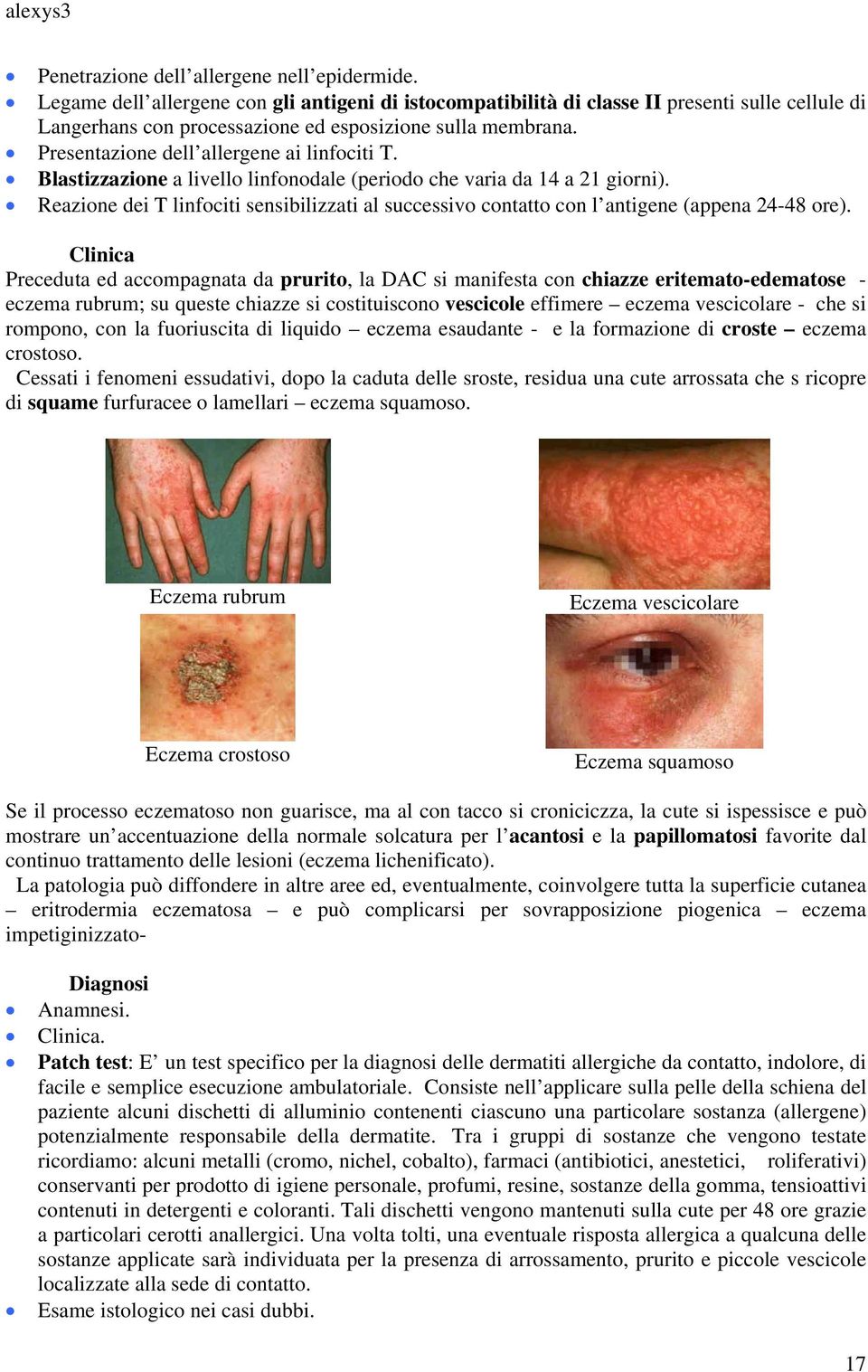 Presentazione dell allergene ai linfociti T. Blastizzazione a livello linfonodale (periodo che varia da 14 a 21 giorni).