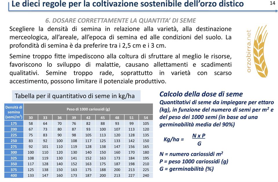 Semine troppo fitte impediscono alla coltura di sfruttare al meglio le risorse, favoriscono lo sviluppo di malattie, causano allettamenti e scadimenti qualitativi.