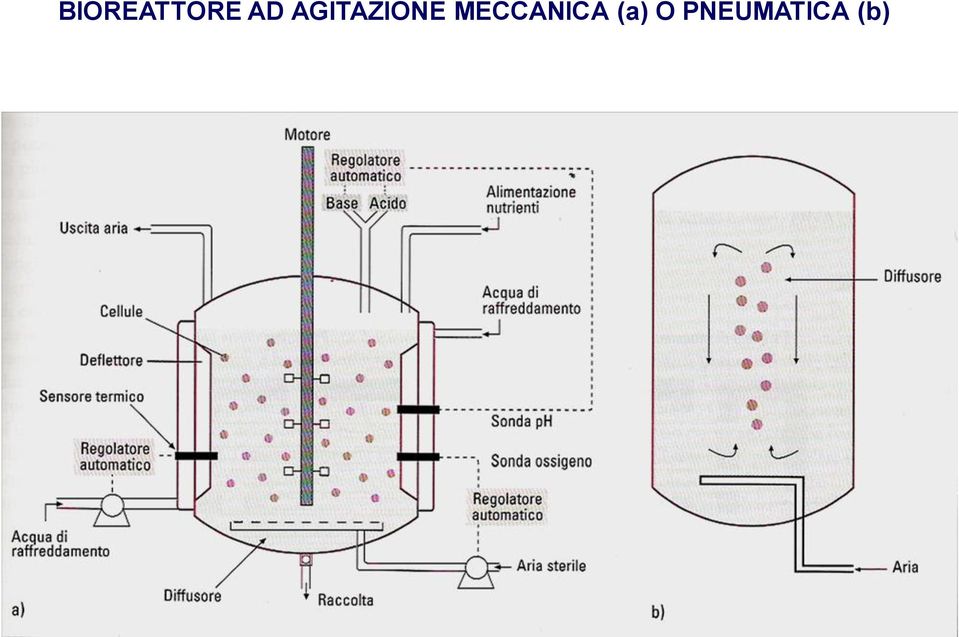 MECCANICA (a)