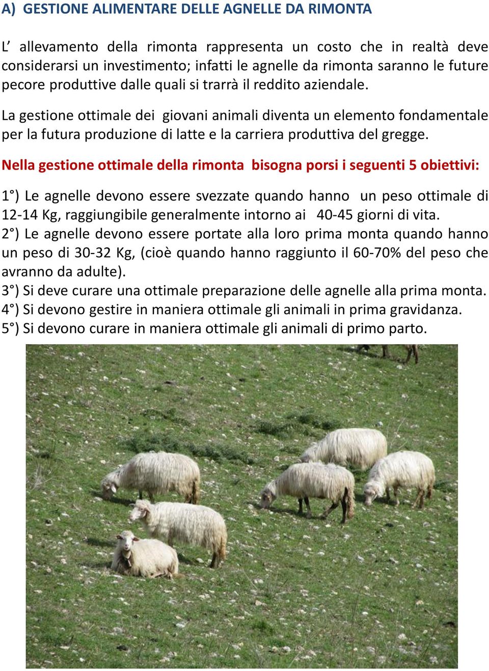 La gestione ottimale dei giovani animali diventa un elemento fondamentale per la futura produzione di latte e la carriera produttiva del gregge.