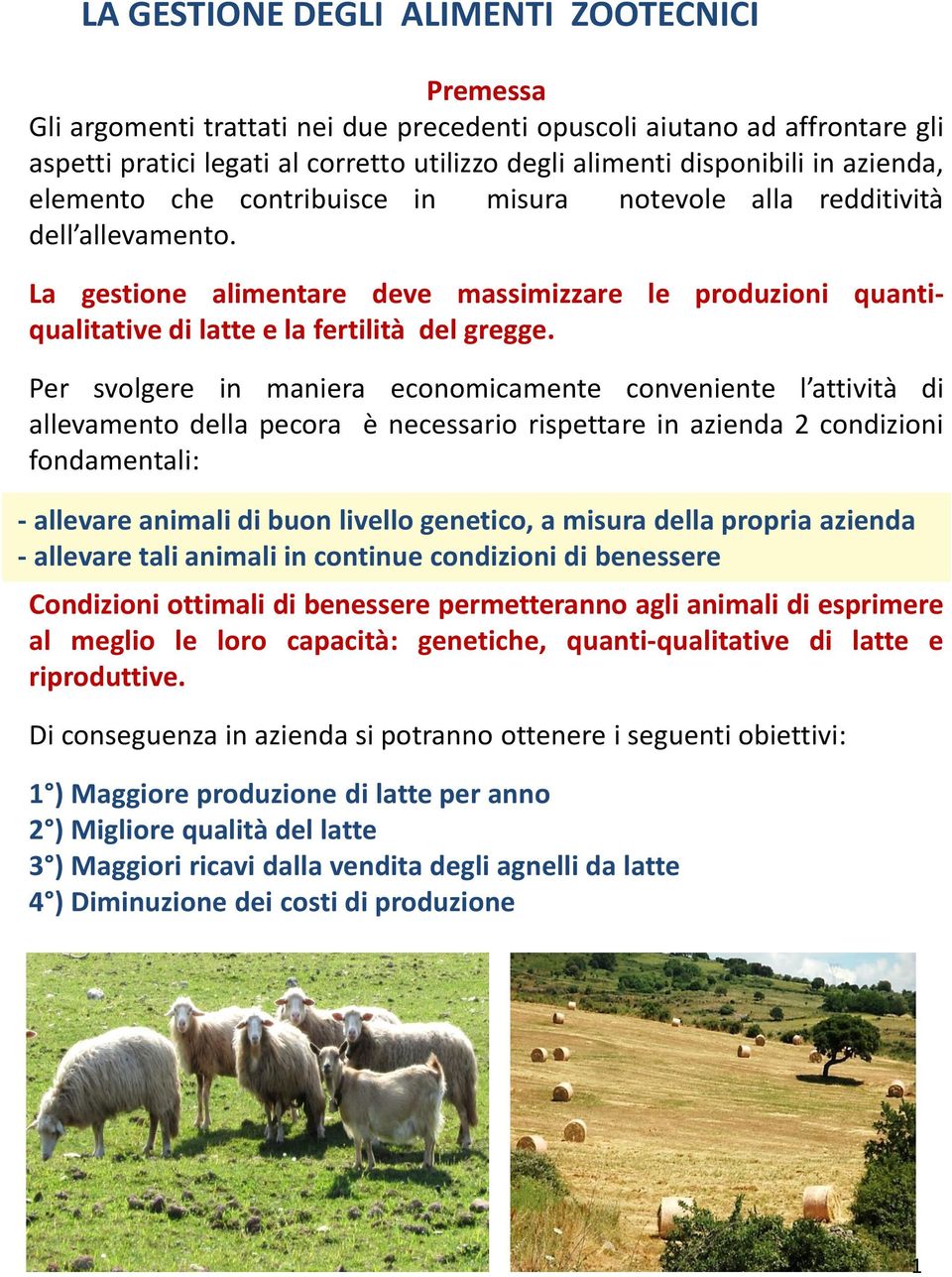 Per svolgere in maniera economicamente conveniente l attività di allevamento della pecora è necessario rispettare in azienda 2 condizioni fondamentali: - allevare animali di buon livello genetico, a