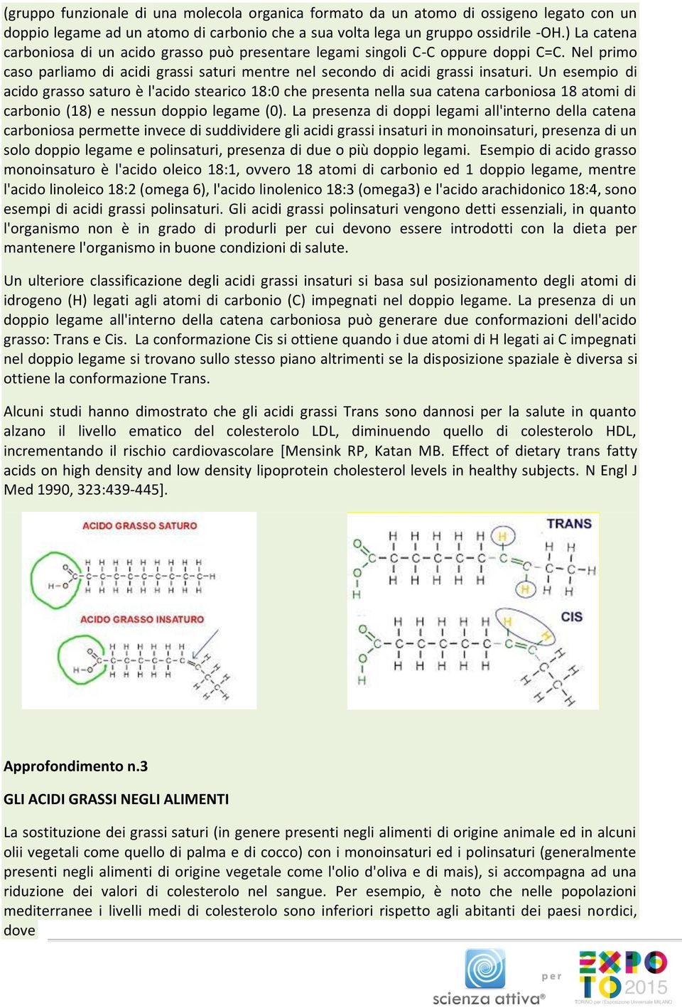 Un esempio di acido grasso saturo è l'acido stearico 18:0 che presenta nella sua catena carboniosa 18 atomi di carbonio (18) e nessun doppio legame (0).