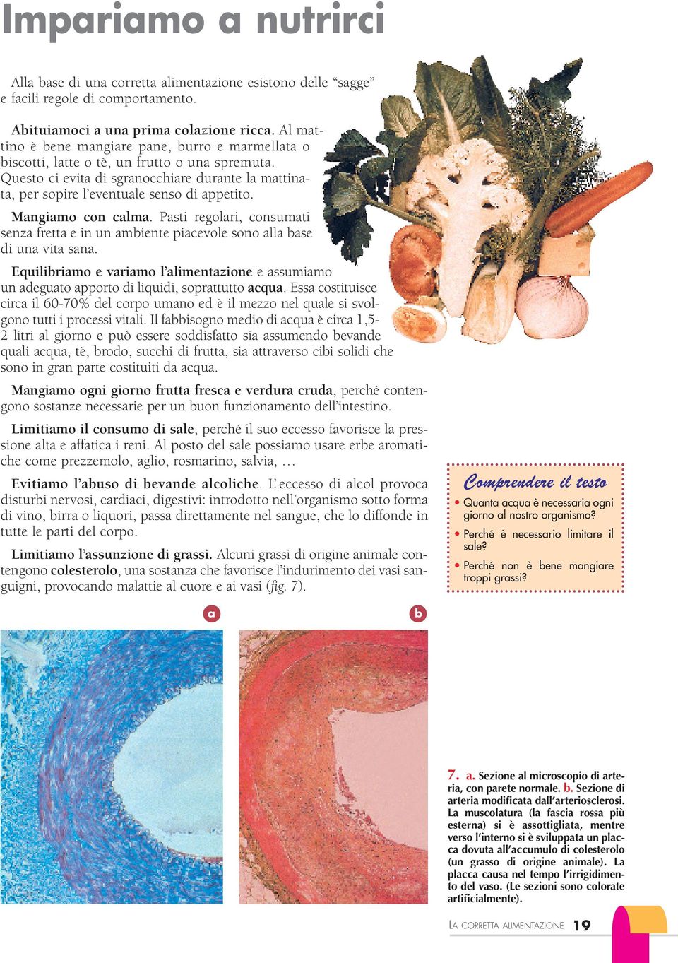 Mangiamo con calma. Pasti regolari, consumati senza fretta e in un ambiente piacevole sono alla base di una vita sana.