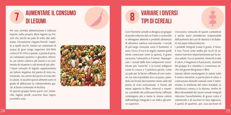 Ovviamente i legumi freschi, rispetto a quelli secchi, hanno un contenuto di acqua di gran lunga superiore (60-90% contro il 10-13%) e quindi, a parità di peso, un contenuto proteico e glucidico