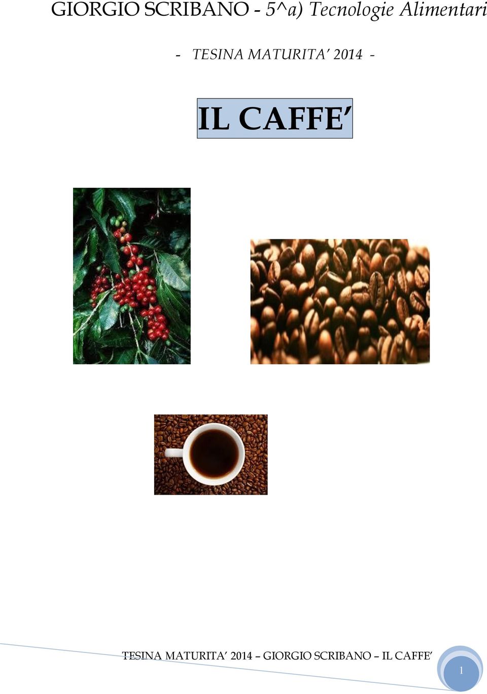 MATURITA 2014 - IL CAFFE TESINA