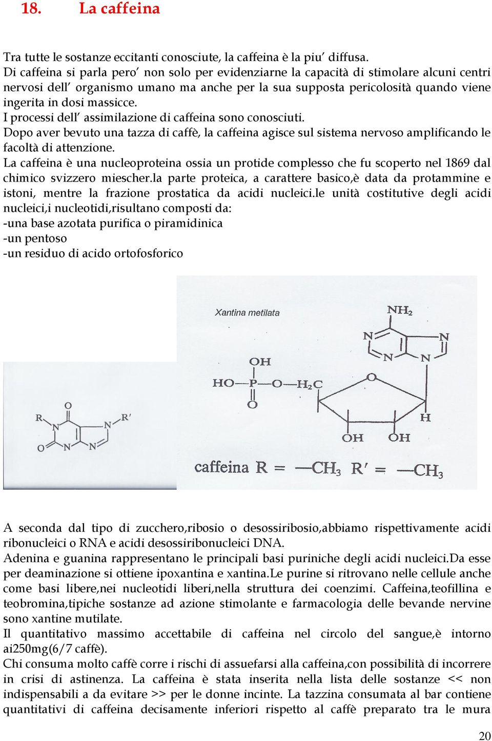 massicce. I processi dell assimilazione di caffeina sono conosciuti. Dopo aver bevuto una tazza di caffè, la caffeina agisce sul sistema nervoso amplificando le facoltà di attenzione.