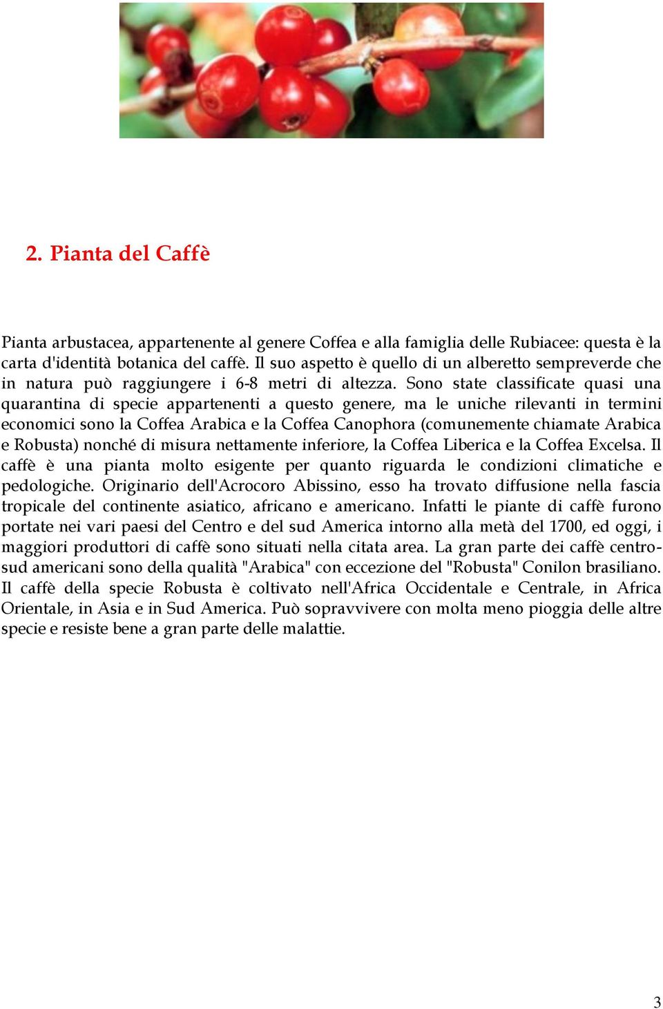 Sono state classificate quasi una quarantina di specie appartenenti a questo genere, ma le uniche rilevanti in termini economici sono la Coffea Arabica e la Coffea Canophora (comunemente chiamate