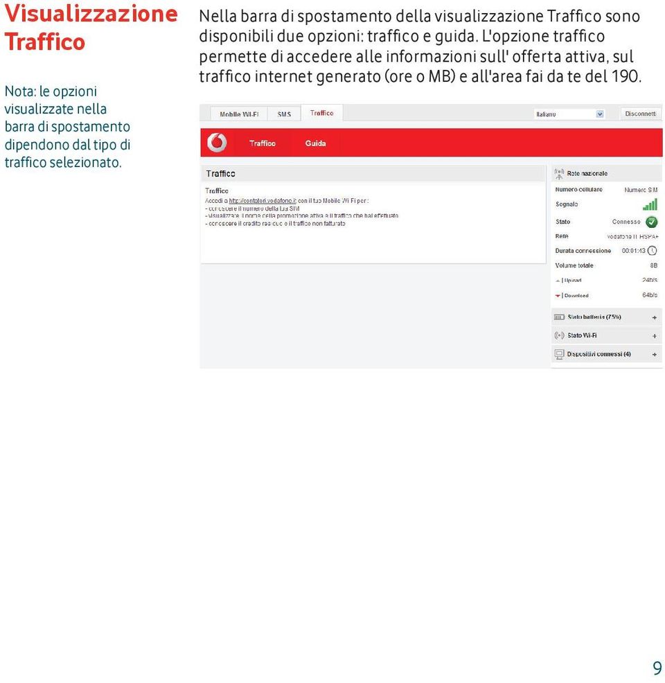 Nella barra di spostamento della visualizzazione Traffi co sono disponibili due opzioni: traffi