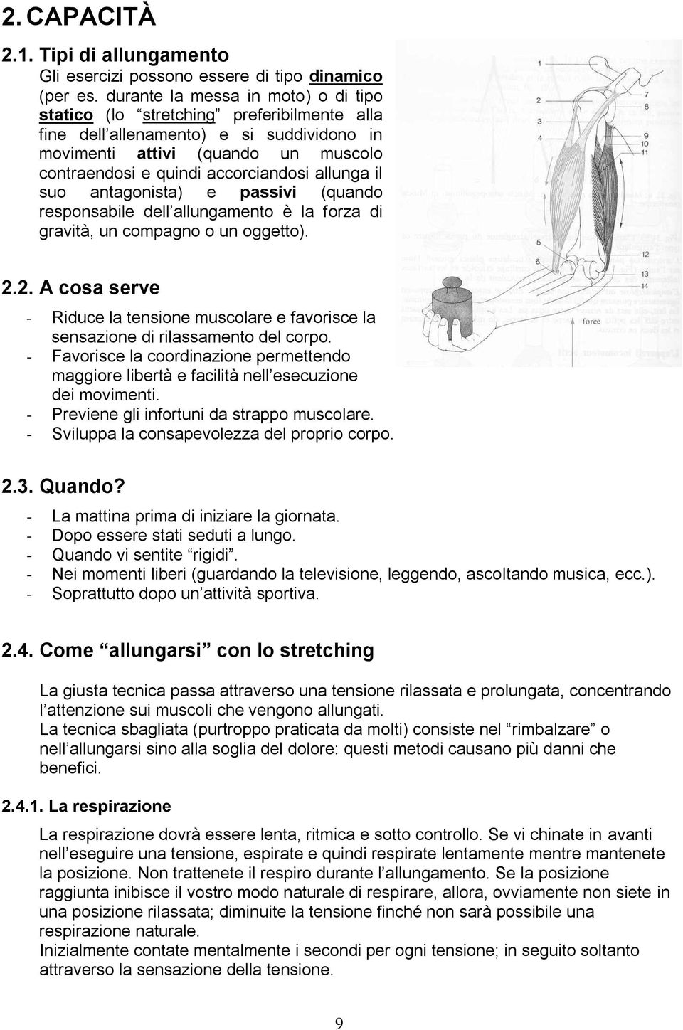 allunga il suo antagonista) e passivi (quando responsabile dell allungamento è la forza di gravità, un compagno o un oggetto). 2.